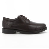 HPM00737BRBR-10