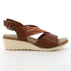 HPL01444BRBR-10